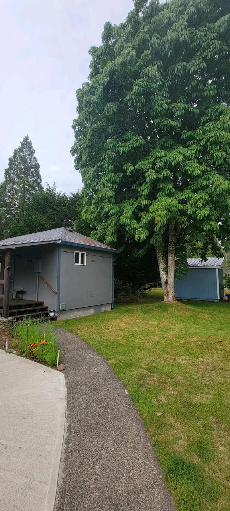 The Bunkhouse Motel Nehalem Extérieur photo